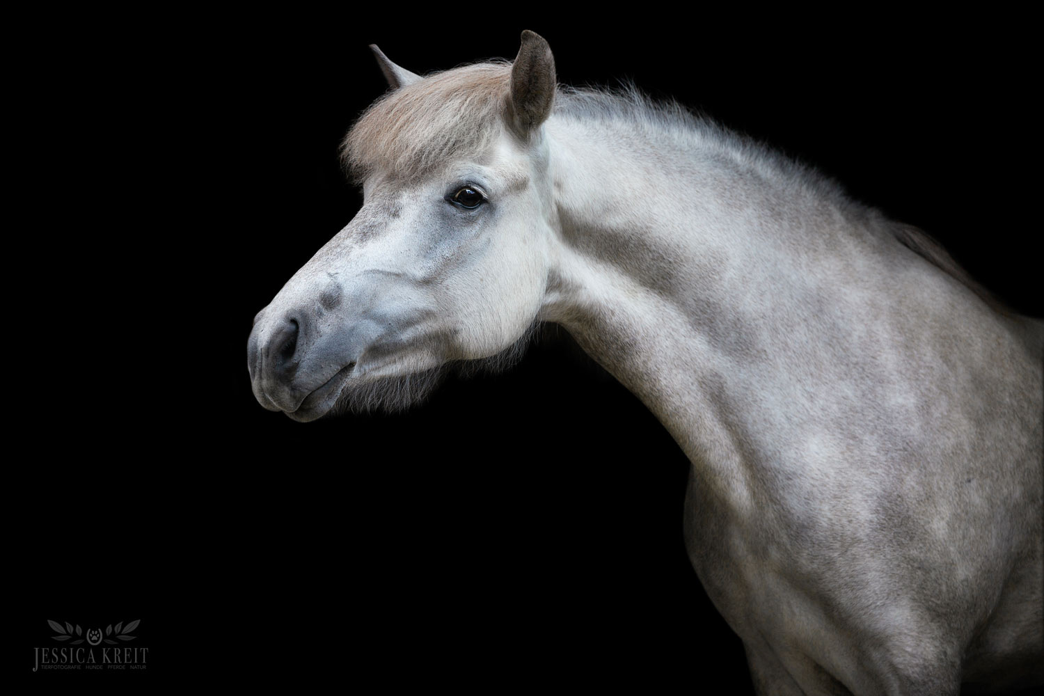 400_Hufe06