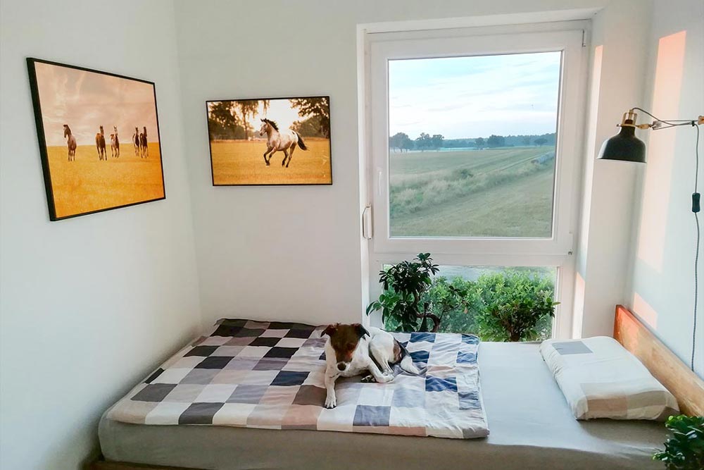 Wandbilder Kundenfeedback Bilder fotografiert von Jessica Kreit Pferdefotografin aus Hannover