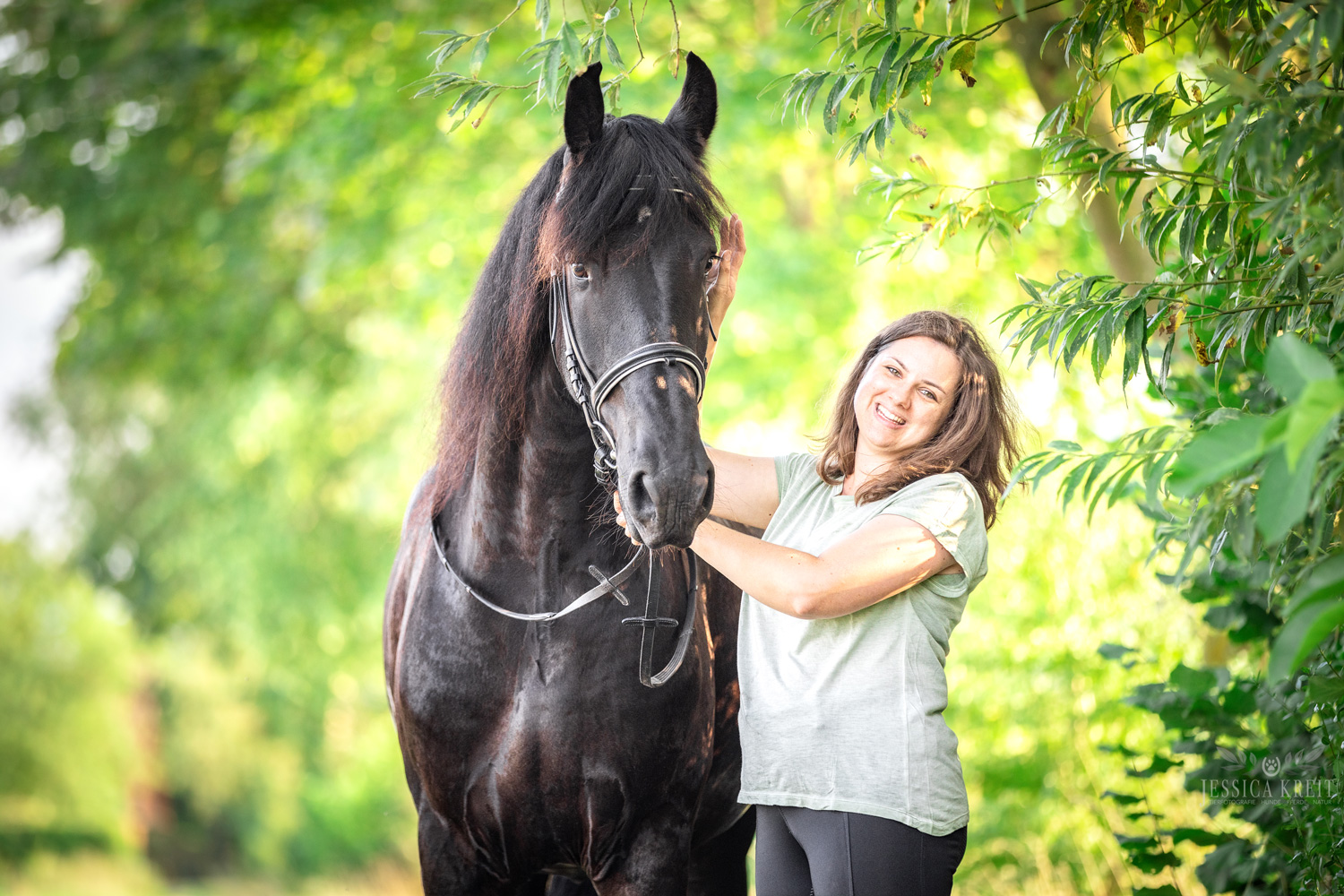 Pferdefotoshooting Pferd im Porträt entstanden bei einem Fotoshooting mit Tierfotografie Jessica Kreit aus Hannover